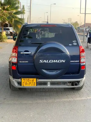 Suzuki Grand Vitara 2007 Blue