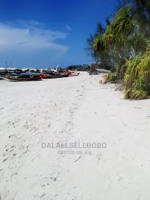 Beach Plote at Zanzibar Nungwi