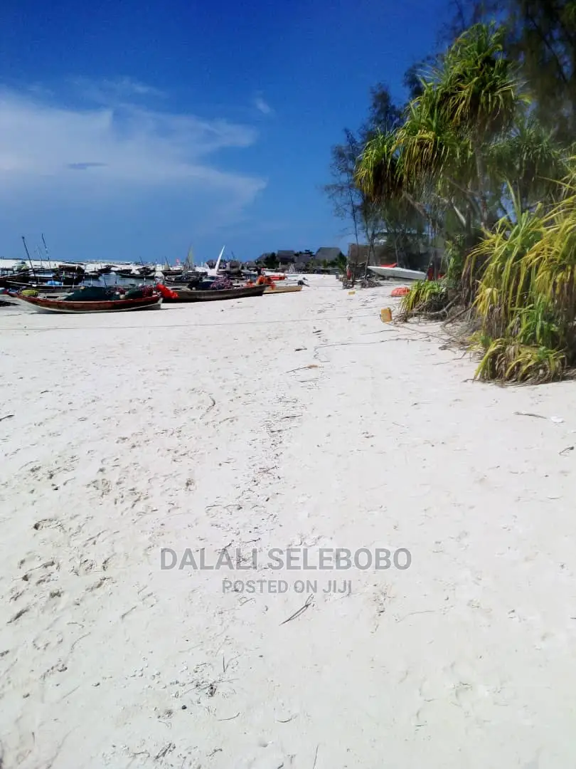 Beach Plote at Zanzibar Nungwi