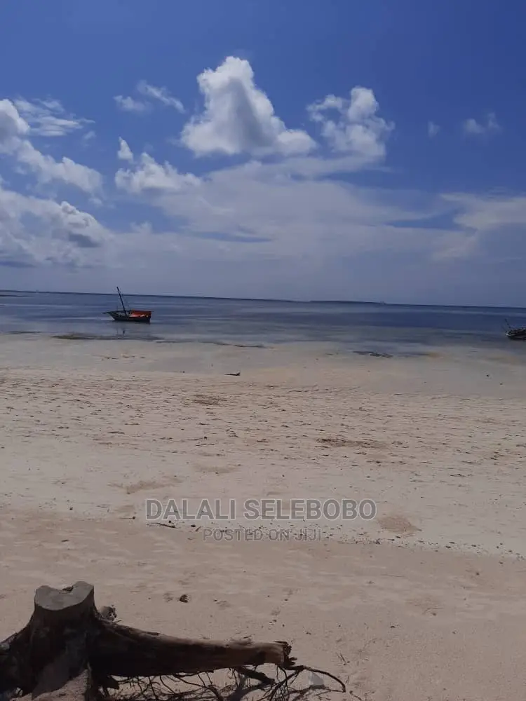 Beach Plote at Zanzibar Nungwi
