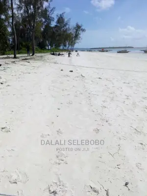 Beach Plote at Zanzibar Nungwi