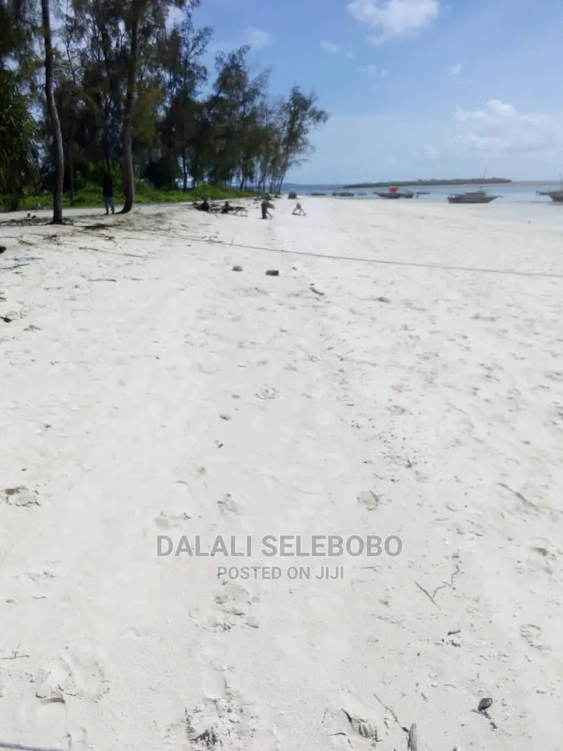 Beach Plote at Zanzibar Nungwi