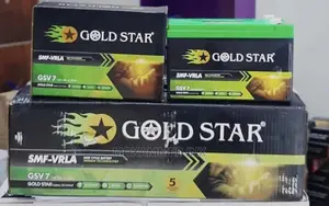 Golden Star 12V 7AH Battery