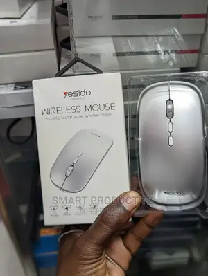 Portable Rechargeable Wireless Mouse