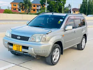 Nissan X-Trail 2003 Silver