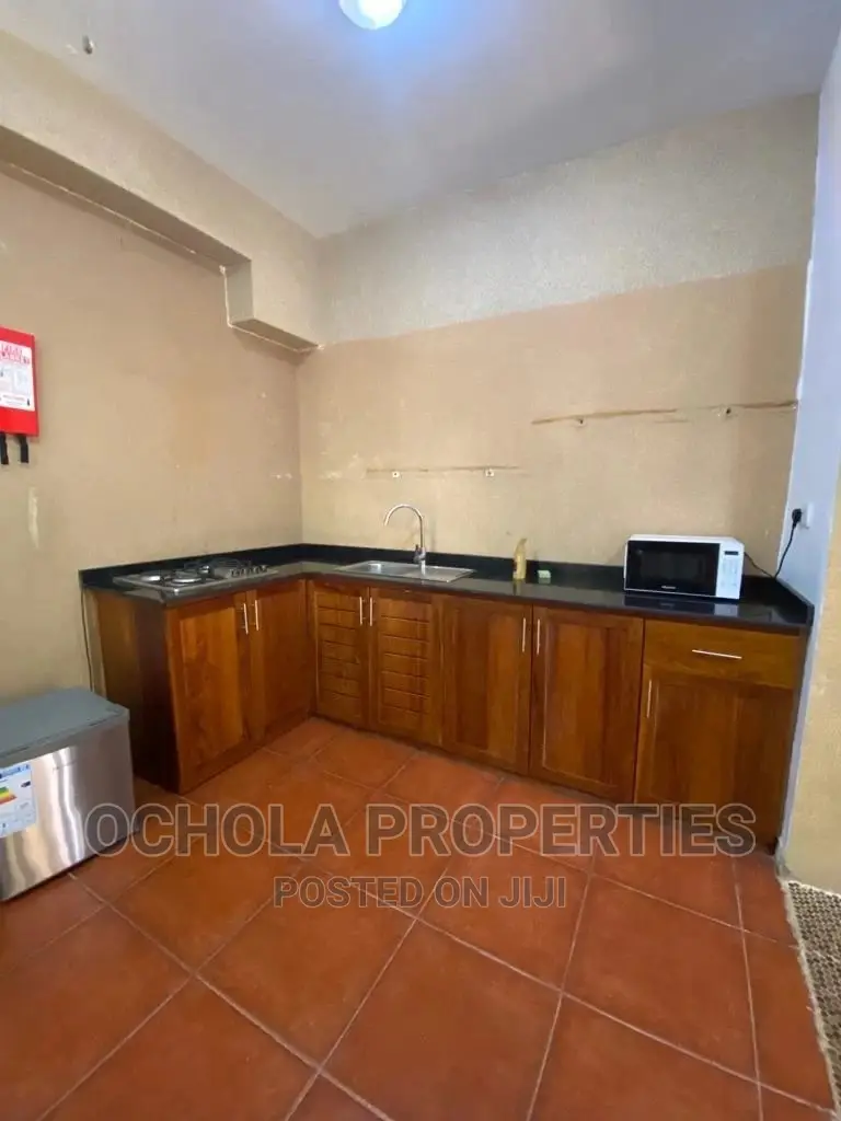 Furnished 1bdrm Apartment in Masaki for rent