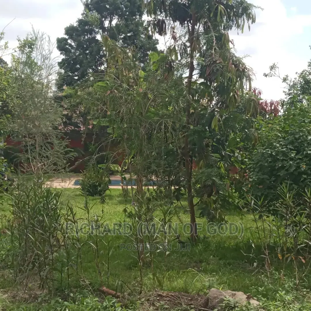 Furnished 3bdrm Bungalow in Arusha for Rent