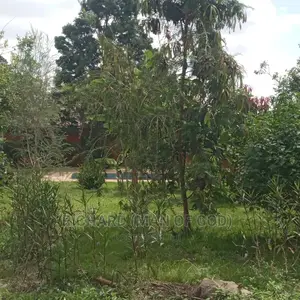 Furnished 3bdrm Bungalow in Arusha for Rent