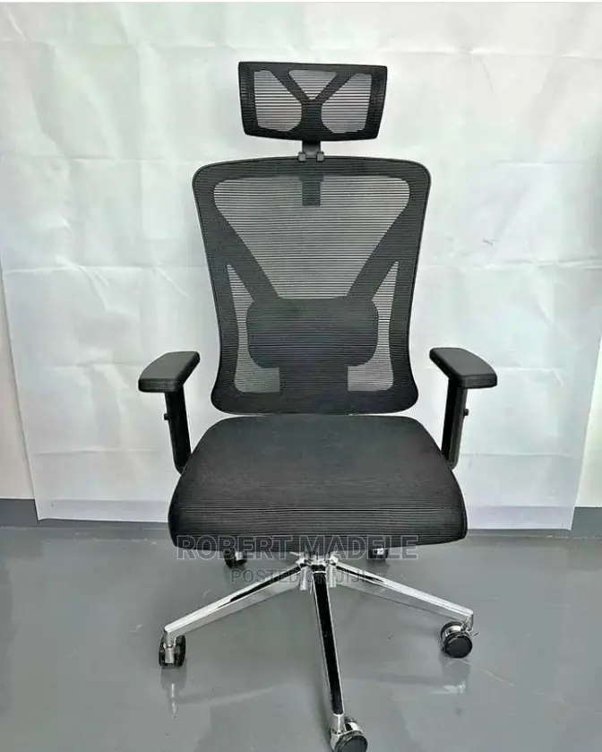 Ergonomic Chair