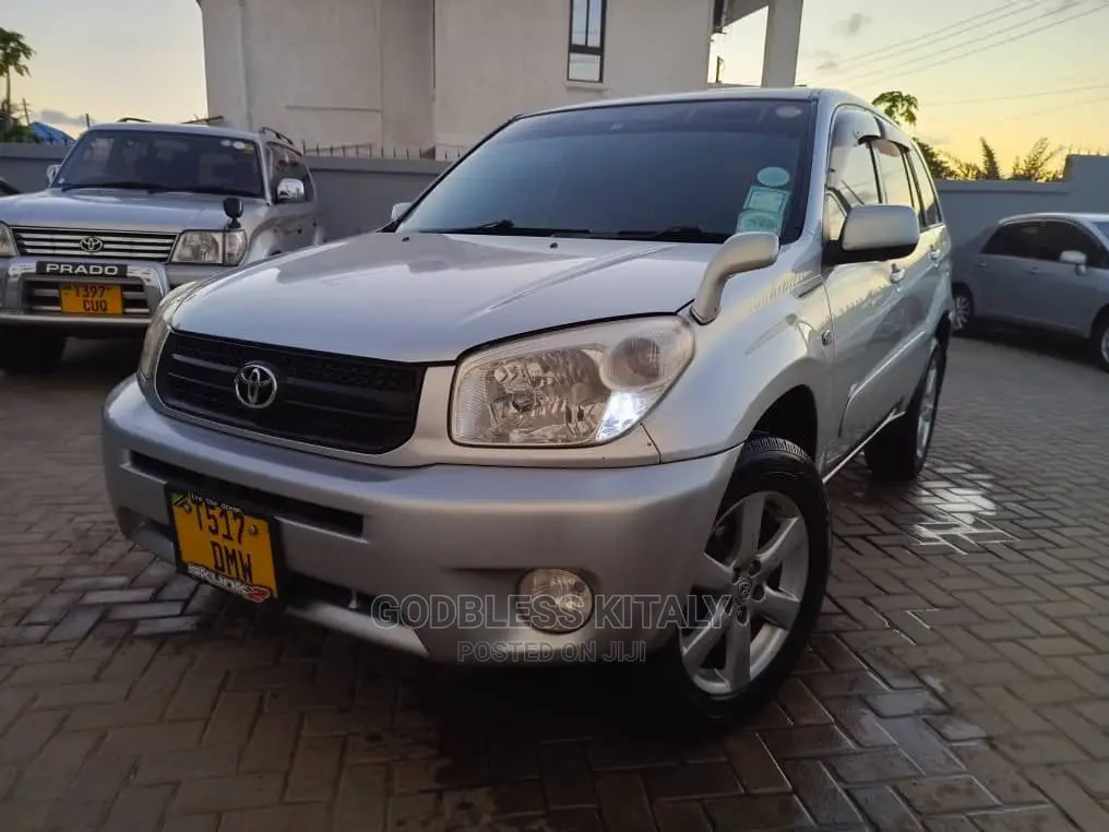 Toyota RAV4 2005 Silver