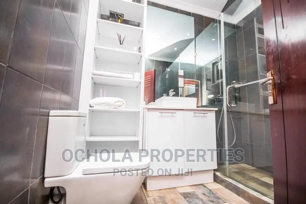 Furnished 1bdrm Apartment in Mikocheni for Rent