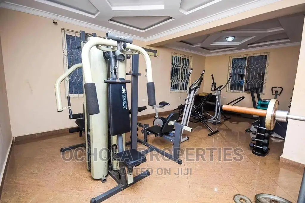 Furnished 1bdrm Apartment in Mikocheni for Rent