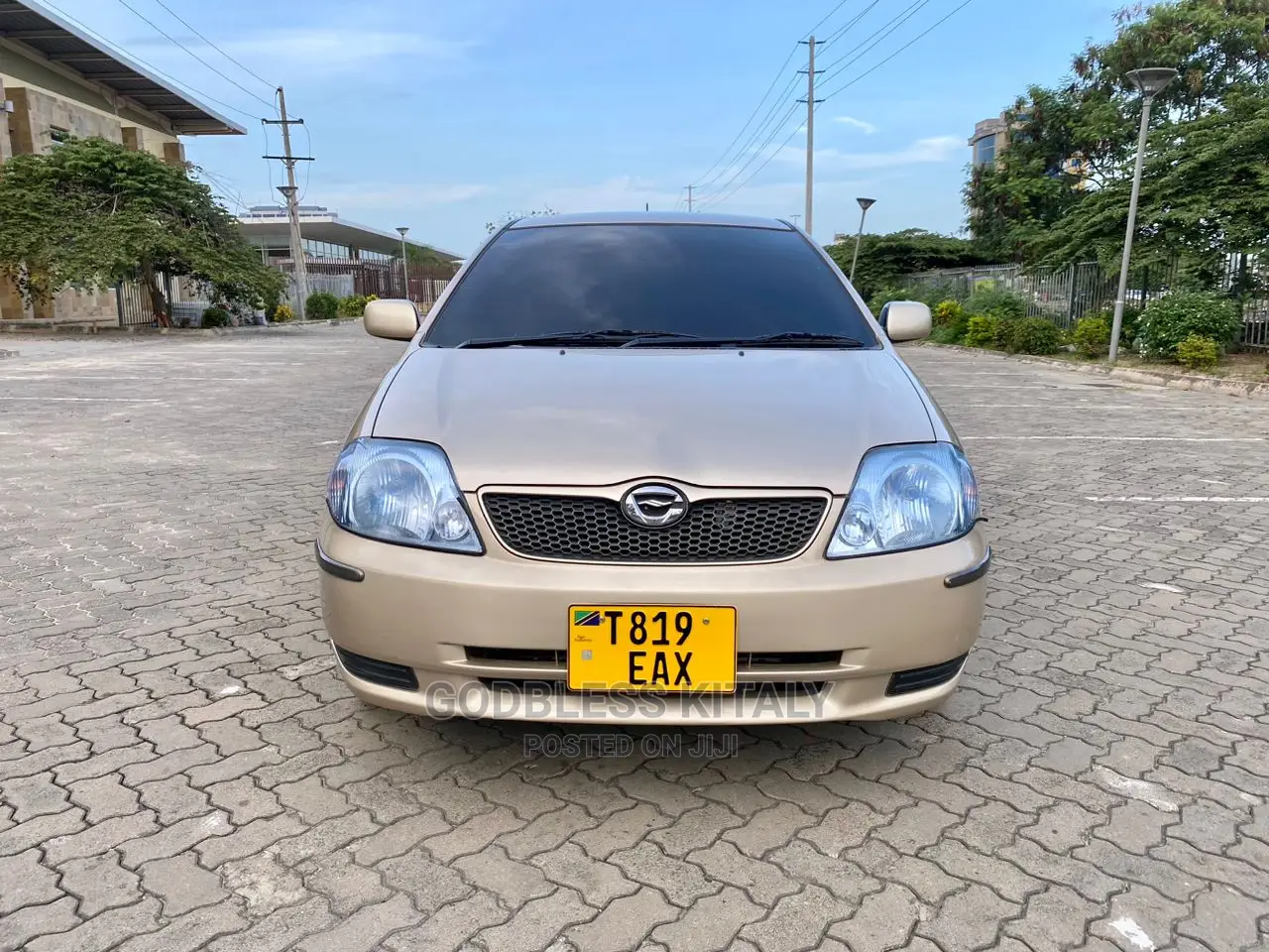 Toyota Allex 2002 Gold