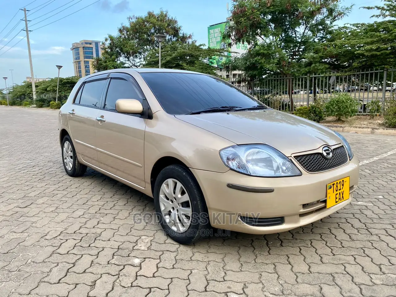 Toyota Allex 2002 Gold