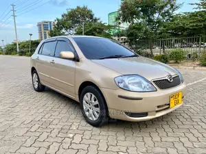 Toyota Allex 2002 Gold
