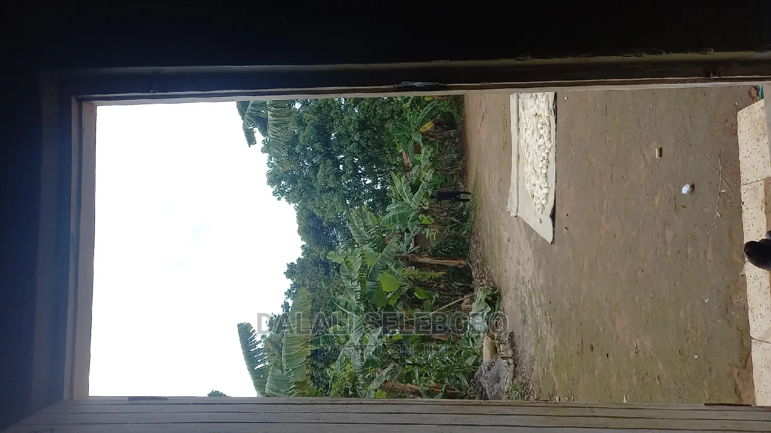 1bdrm Apartment in Kimara for Rent