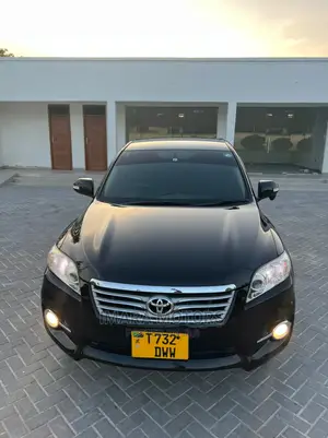 Toyota Vanguard 2010