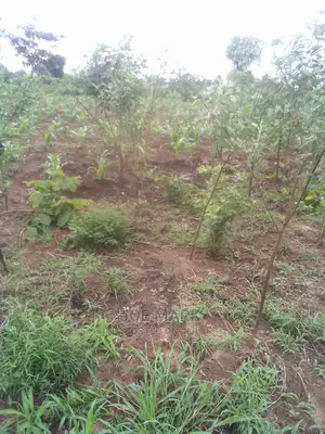 Kiwanja Kinauzwa Kibaha Picha Ya Ndege