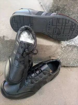 School Fees