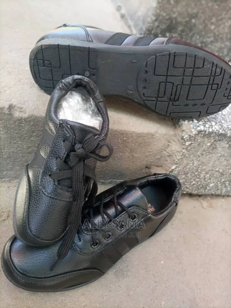 School Fees