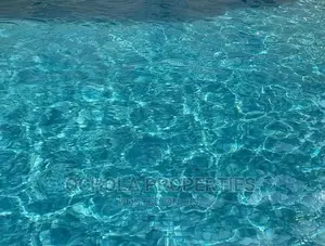 Furnished Studio Apartment in Masaki for Rent