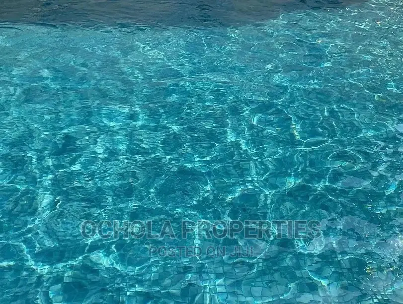 Furnished Studio Apartment in Masaki for Rent
