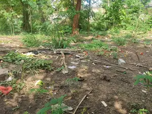 Kiwanja Kizuri Kinauzwa Goba Njia Nne