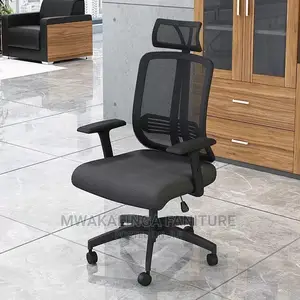 Egnomic Chair