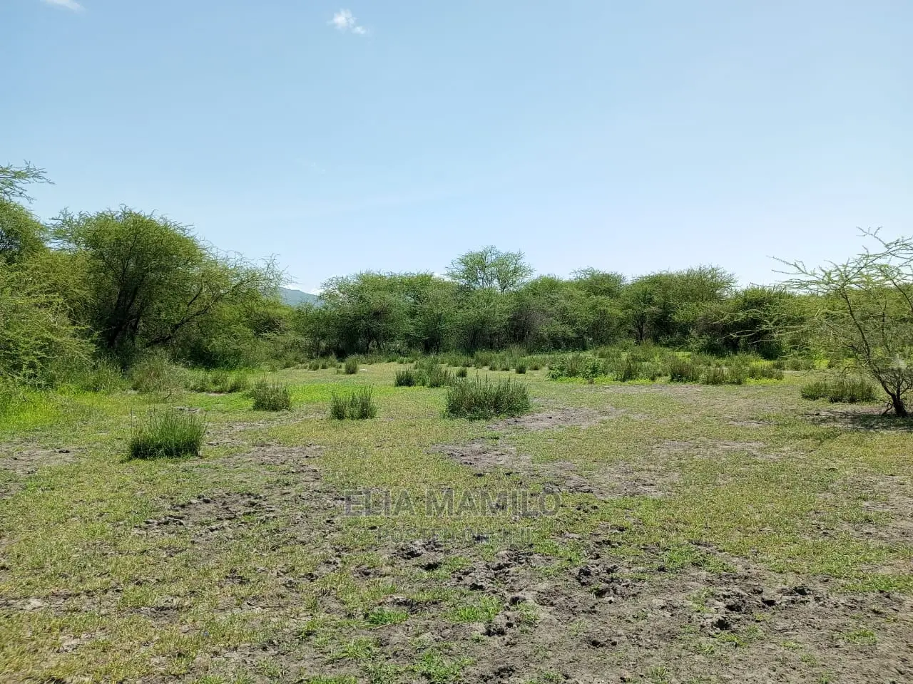 Tourist Area for Sale, in Tarangire, Manyara.