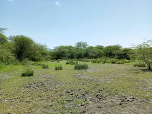 Tourist Area for Sale, in Tarangire, Manyara.