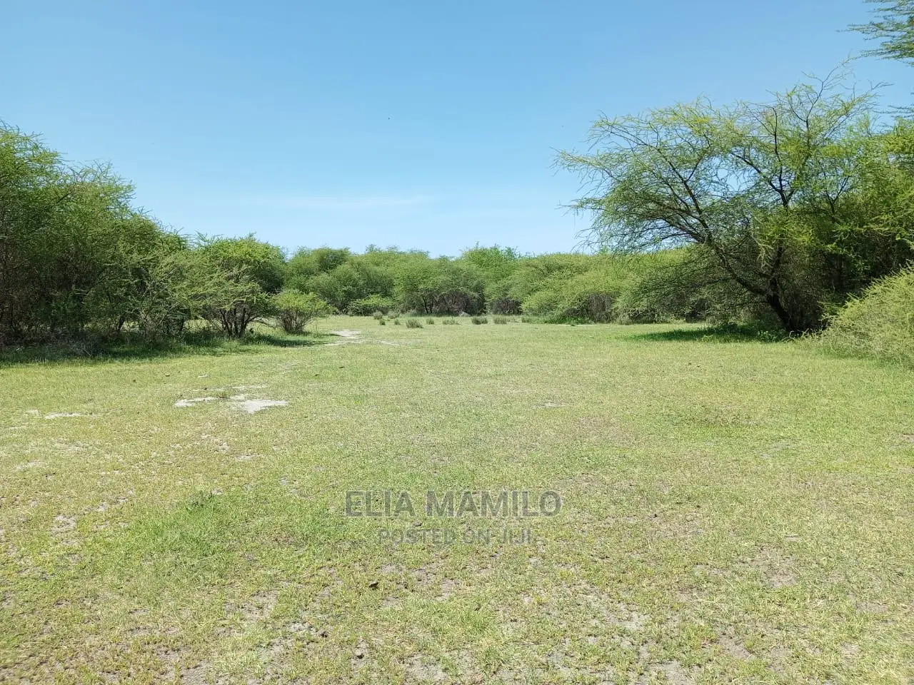 Tourist Area for Sale, in Tarangire, Manyara.