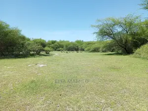 Tourist Area for Sale, in Tarangire, Manyara.