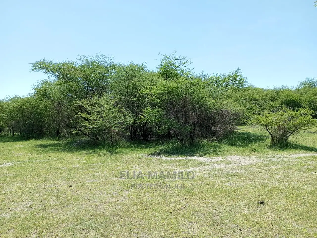 Tourist Area for Sale, in Tarangire, Manyara.