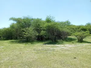 Tourist Area for Sale, in Tarangire, Manyara.