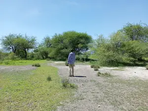 Tourist Area for Sale, in Tarangire, Manyara.