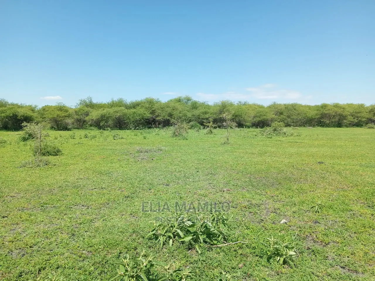 Tourist Area for Sale, in Tarangire, Manyara.