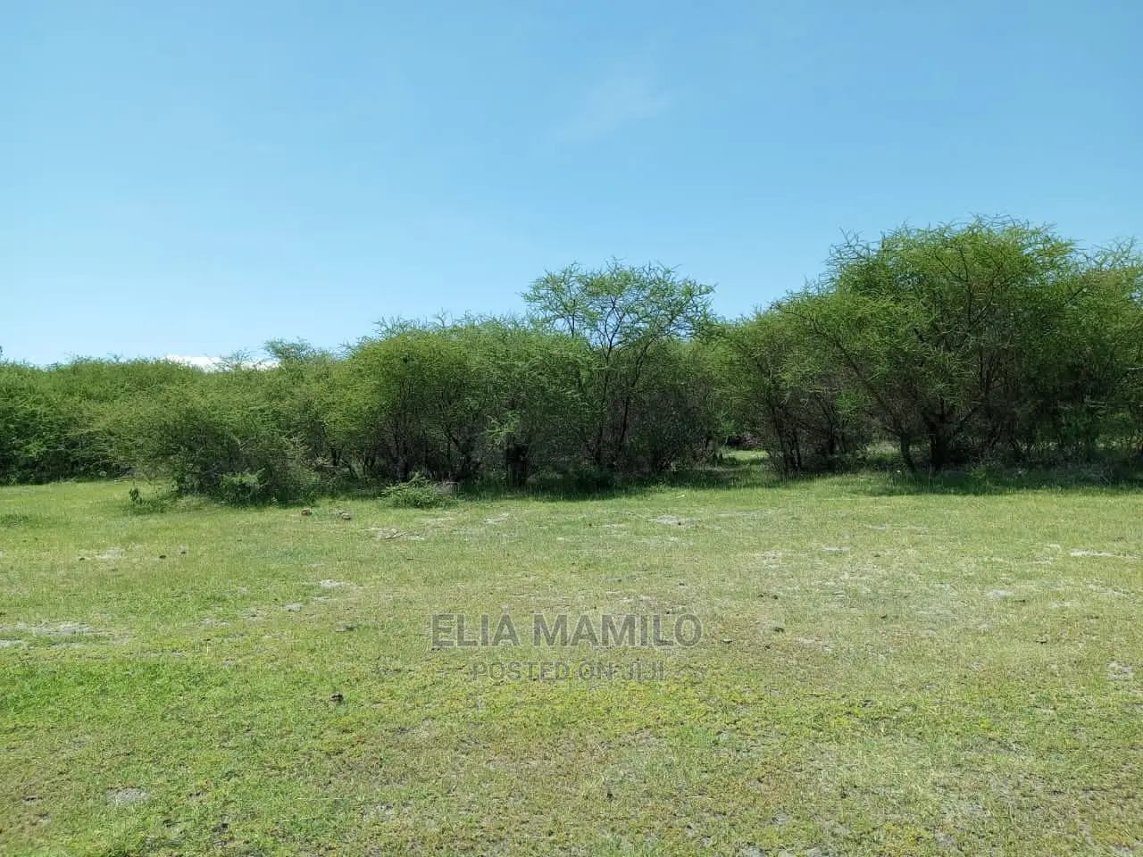 Tourist Area for Sale, in Tarangire, Manyara.
