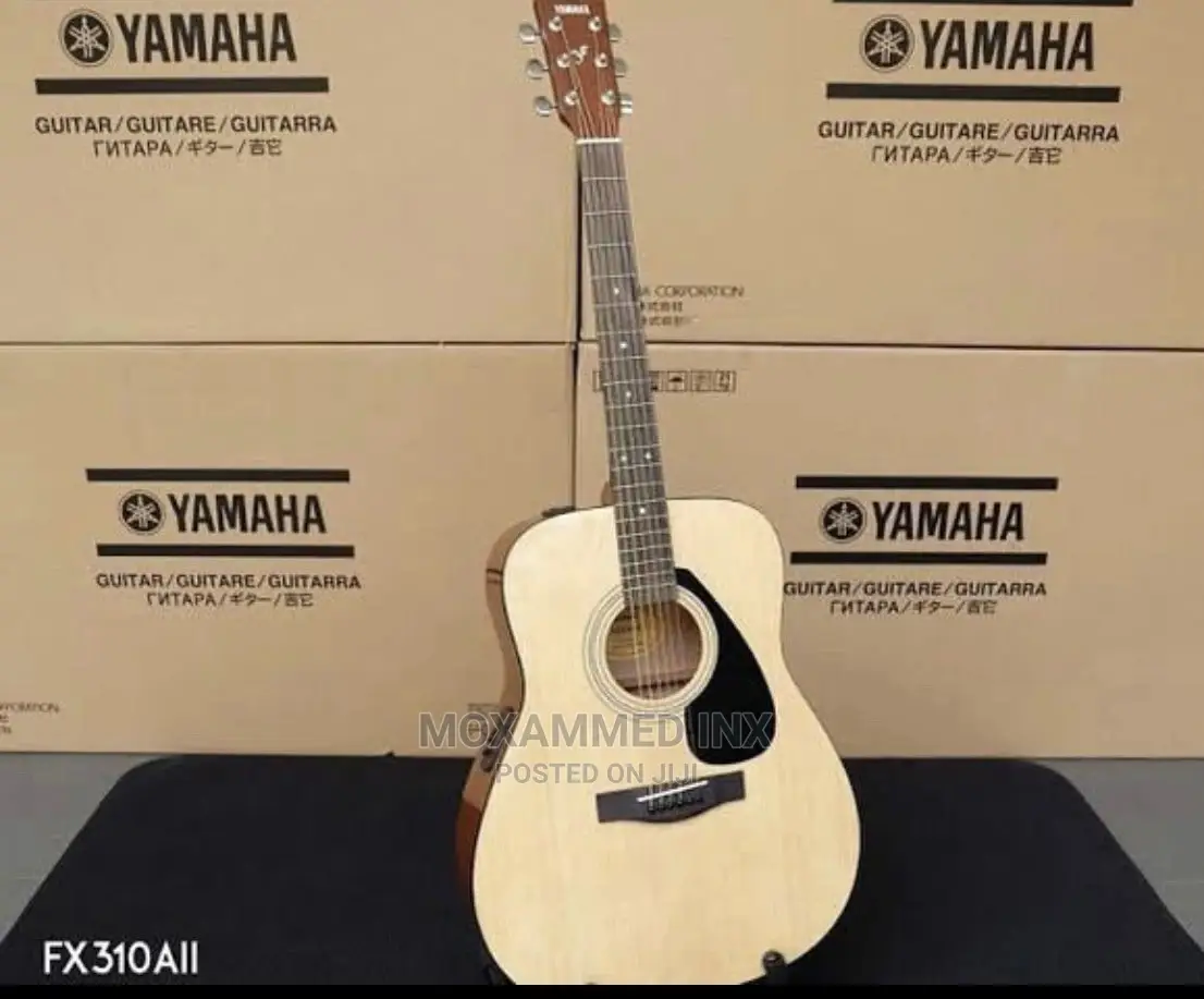 Electric Guitar Fx310all