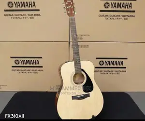 Electric Guitar Fx310all