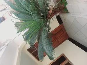 2bdrm Penthouse in Sinza Igesa for Rent