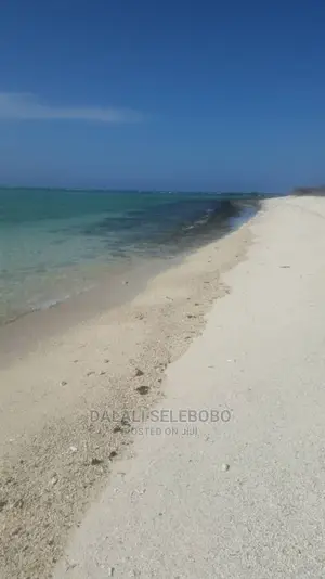 Kisiwa at Kilwa Heka 100