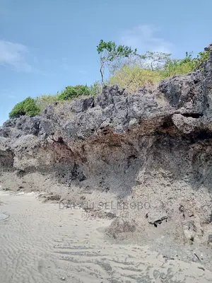 Kisiwa at Kilwa Heka 100