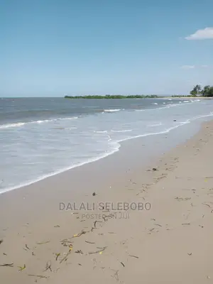 Kisiwa at Kilwa Heka 100