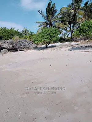 Kisiwa at Kilwa Heka 100