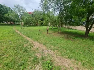 Kiwanja Kinauzwa Madale