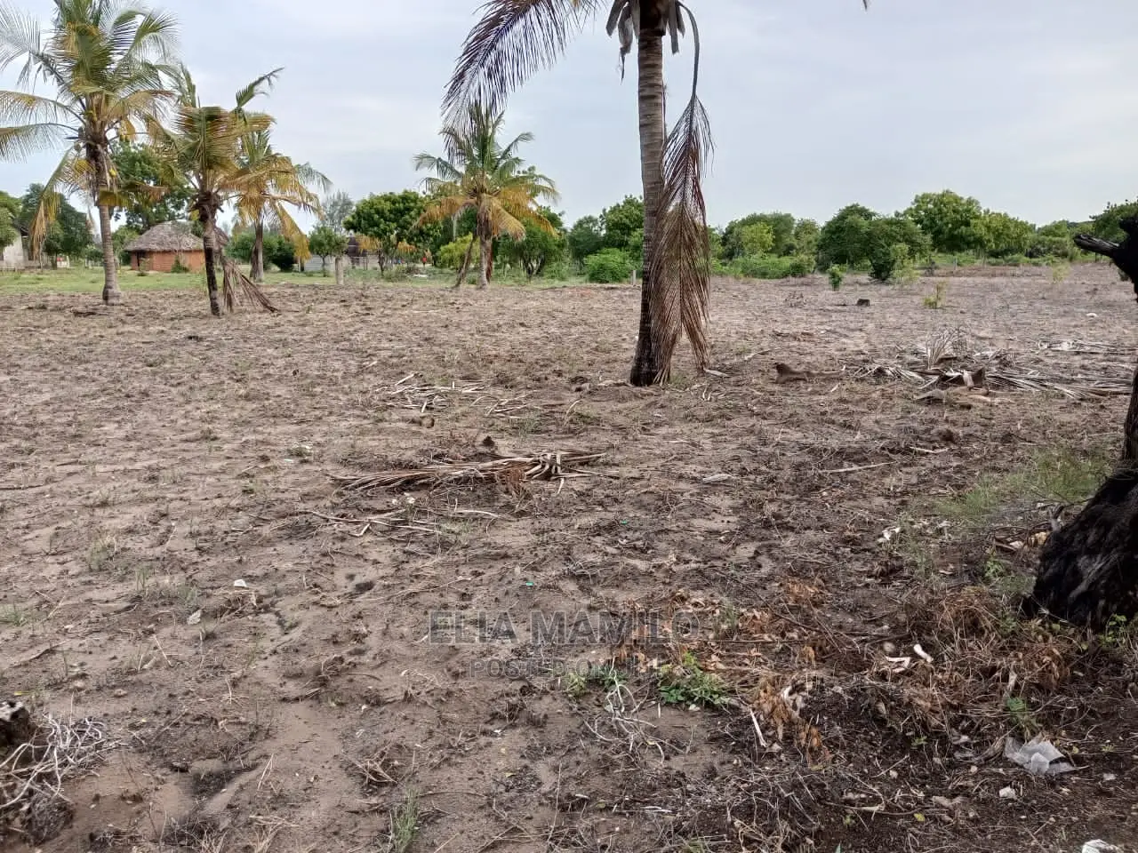 Beach Plot for Sale in Dar ES Salaam, Geza Ulole