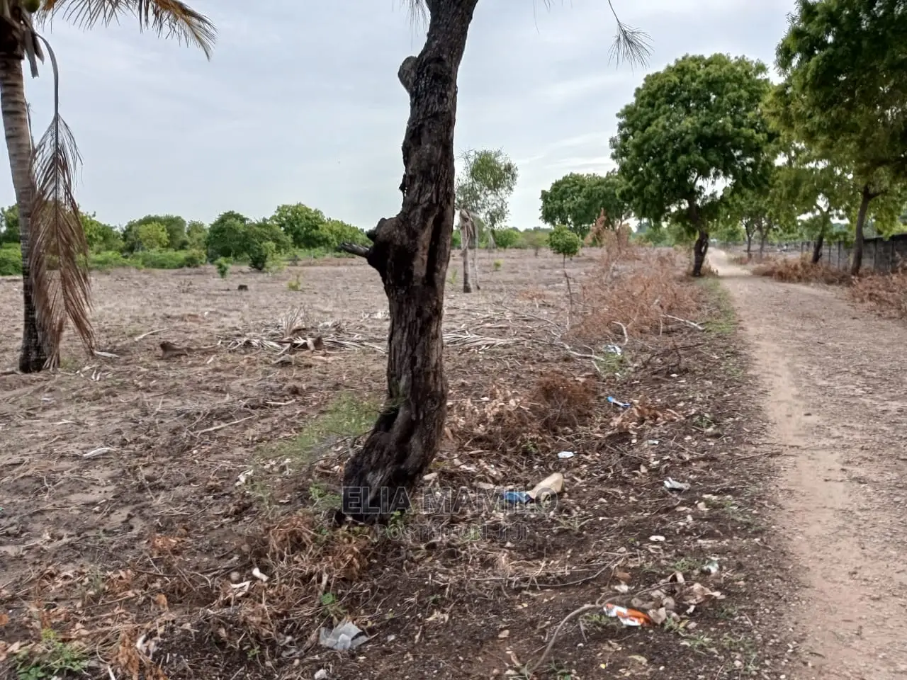 Beach Plot for Sale in Dar ES Salaam, Geza Ulole