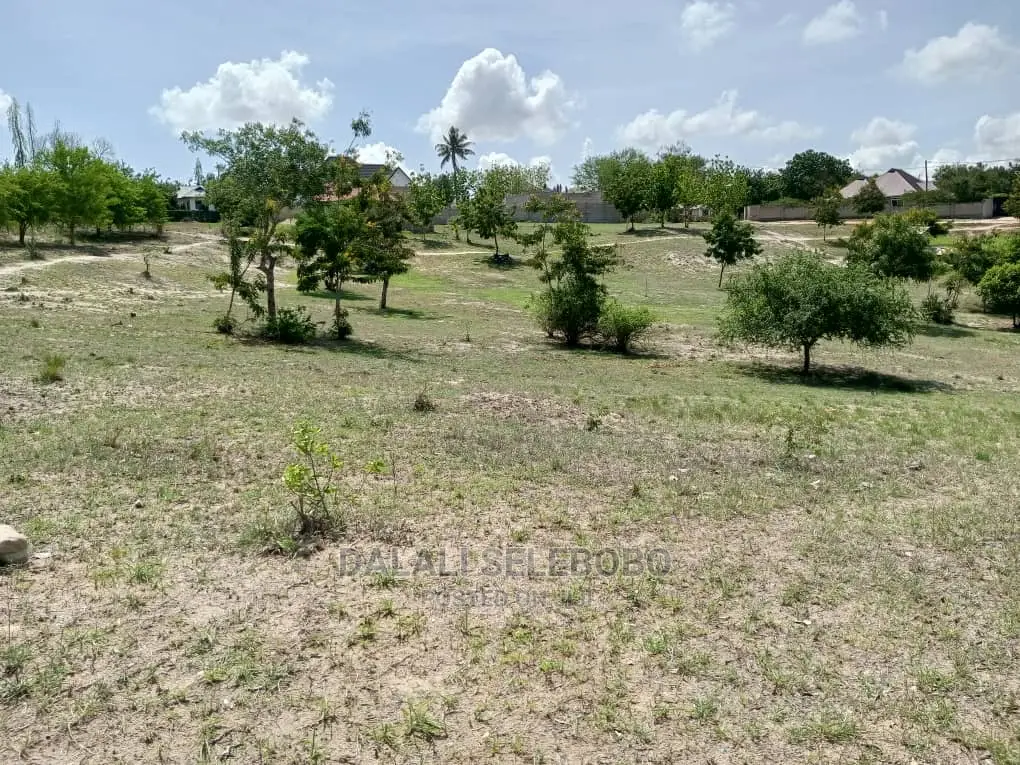 Plot at Madale Nyakasangwe