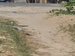 Kiwanja Kinauzwa Goba Lastanza