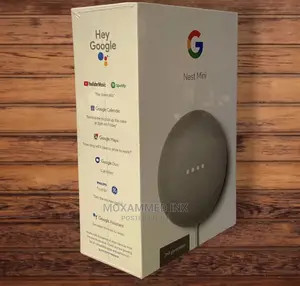 Google Nest Mini